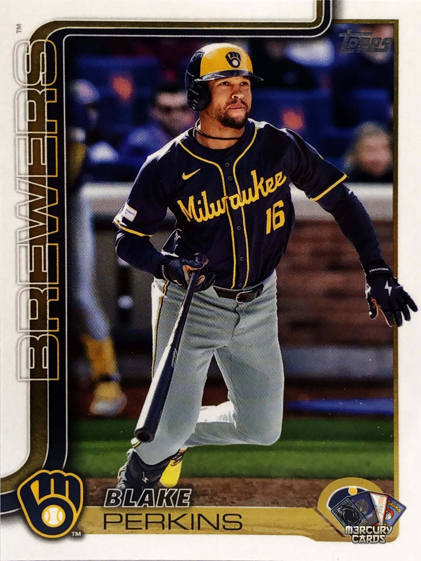 Blake Perkins (Base)