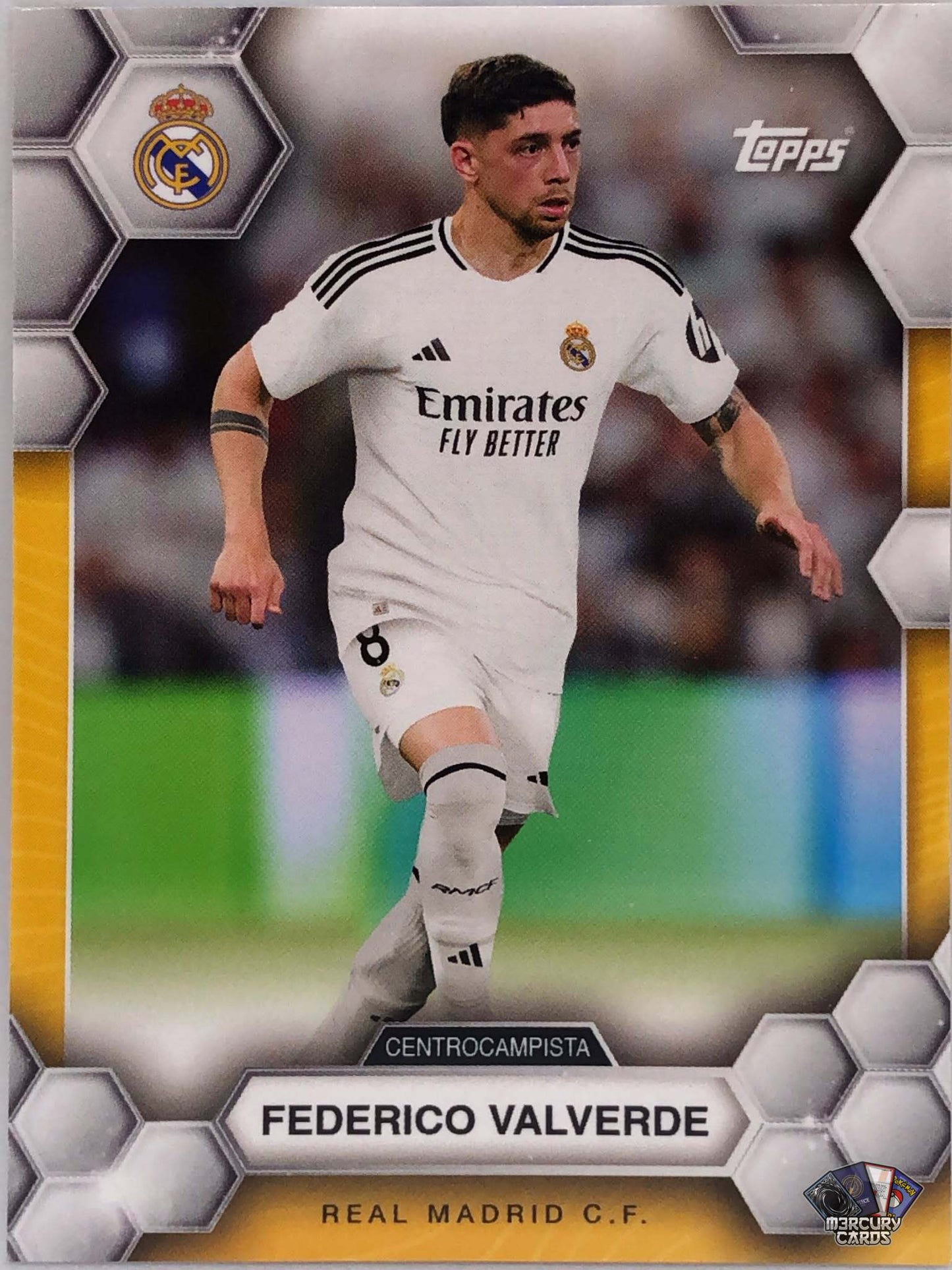 Federico Valverde (Base)