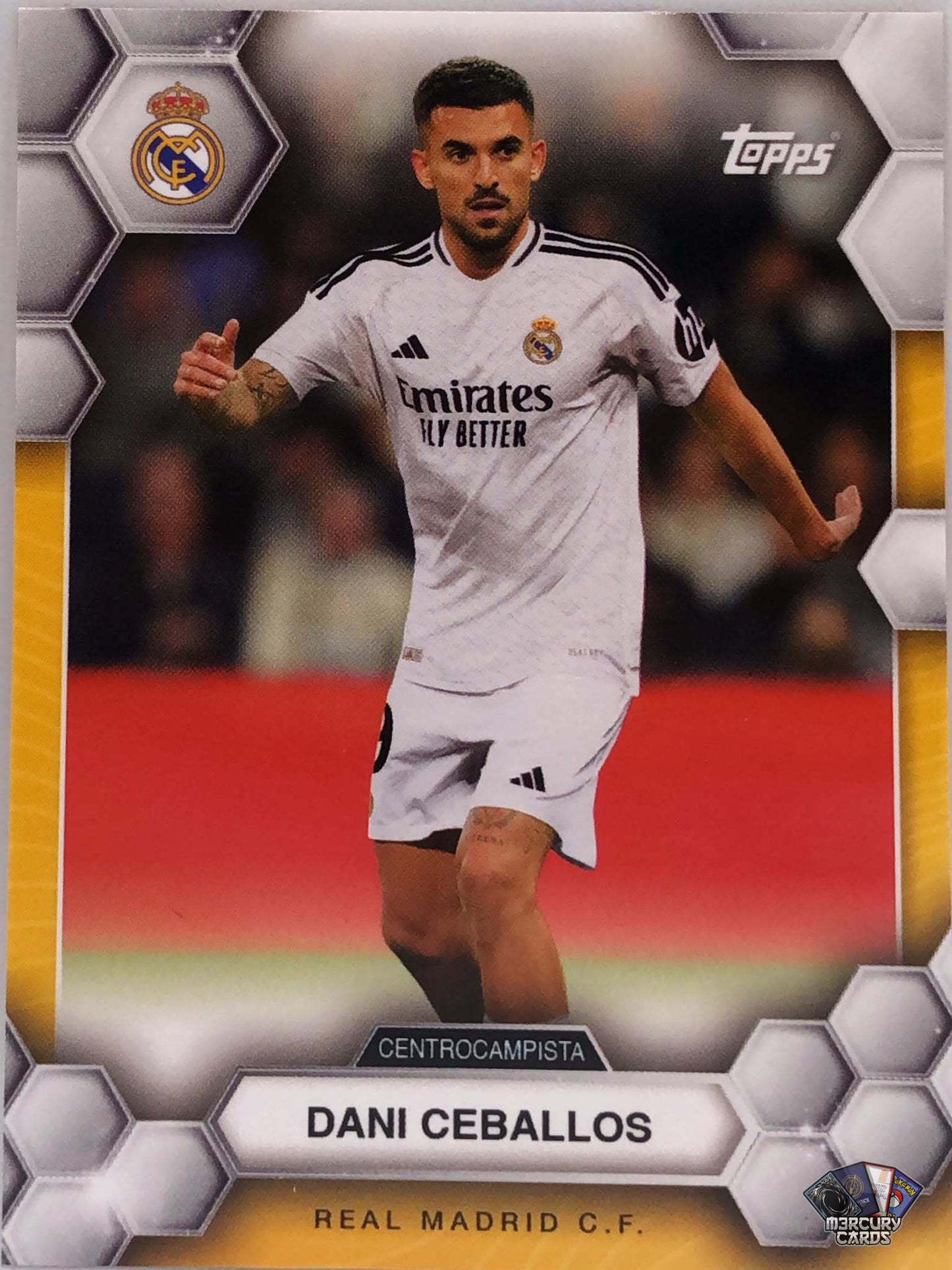 Dani Ceballos (Base)