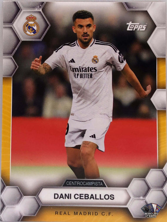 Dani Ceballos (Base)